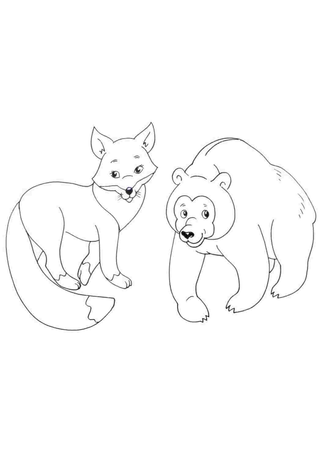 Картинка волк лиса медведь. Медведь раскраска. Медведь раскраска для детей. Лиса и медведь раскраска для детей. Раскраска животные медведь.