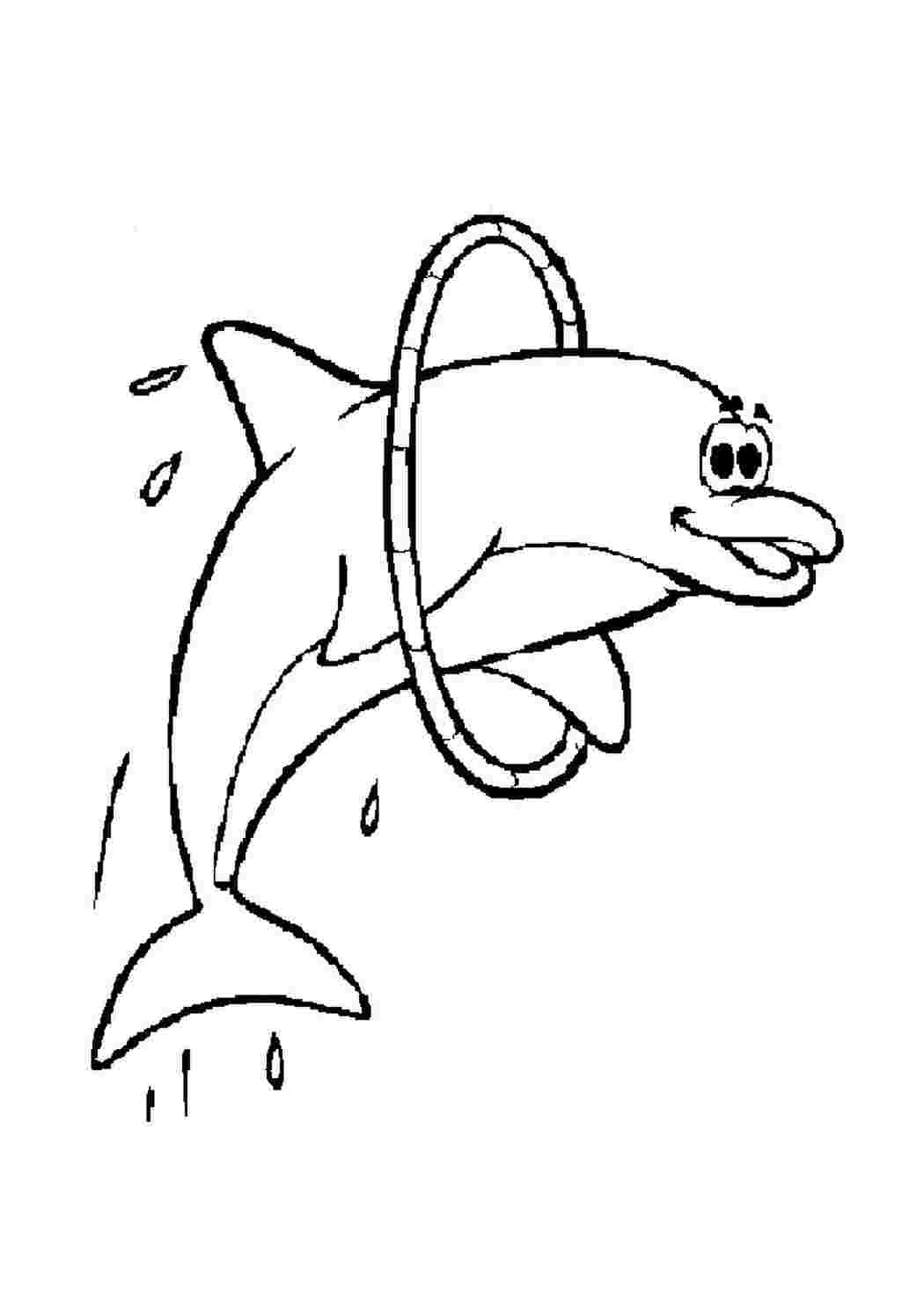 Дельфин рисунок для детей раскраска