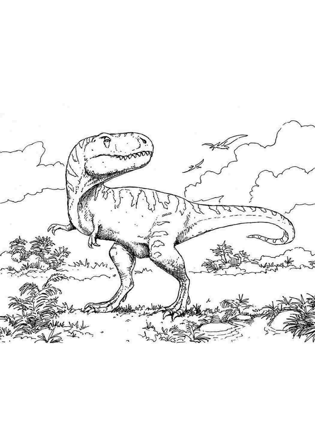 Раскраска динозавр Кархародонтозавр