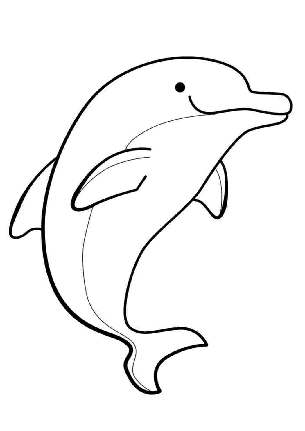 Раскрашивать дельфины. Беломордый Дельфин раскраска. Раскраски дел. Раскраска "дельфины". Дельфин раскраска для детей.