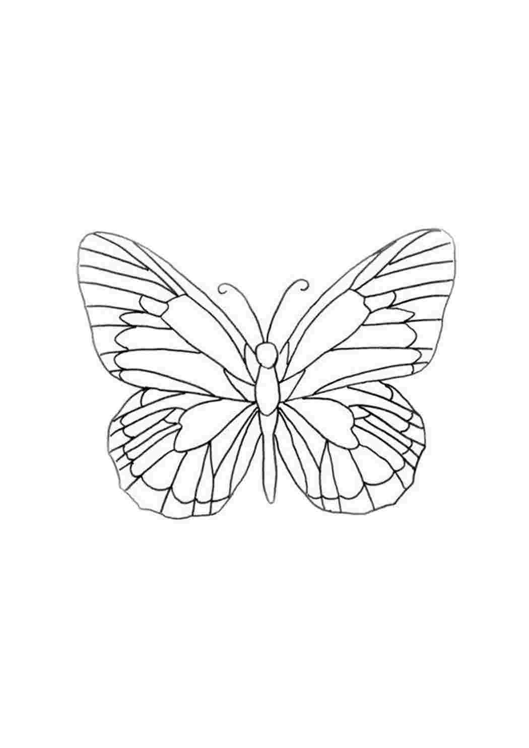 Трафареты для 3д ручки бабочка