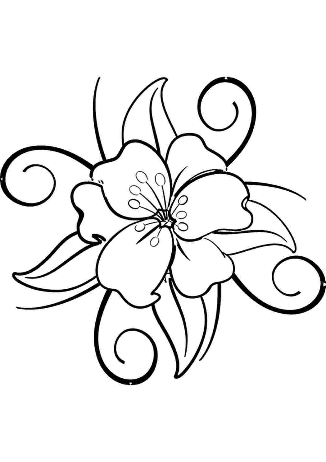 Рисунки карандашом цветы с завитушками