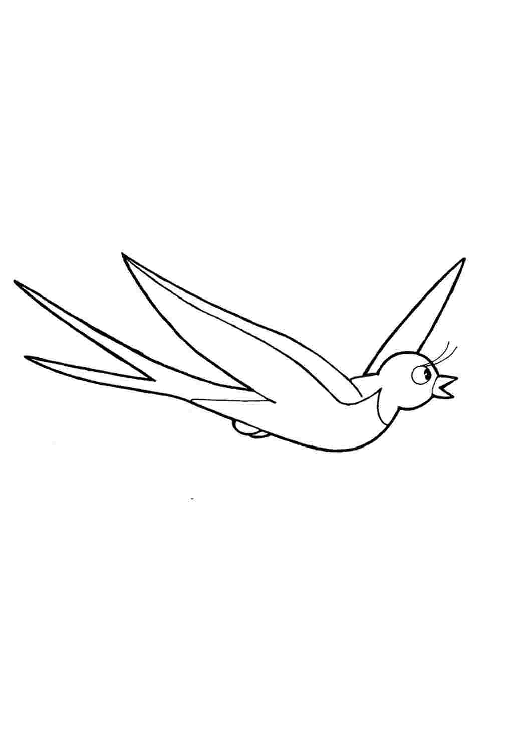 Птица Ласточка раскраска для детей
