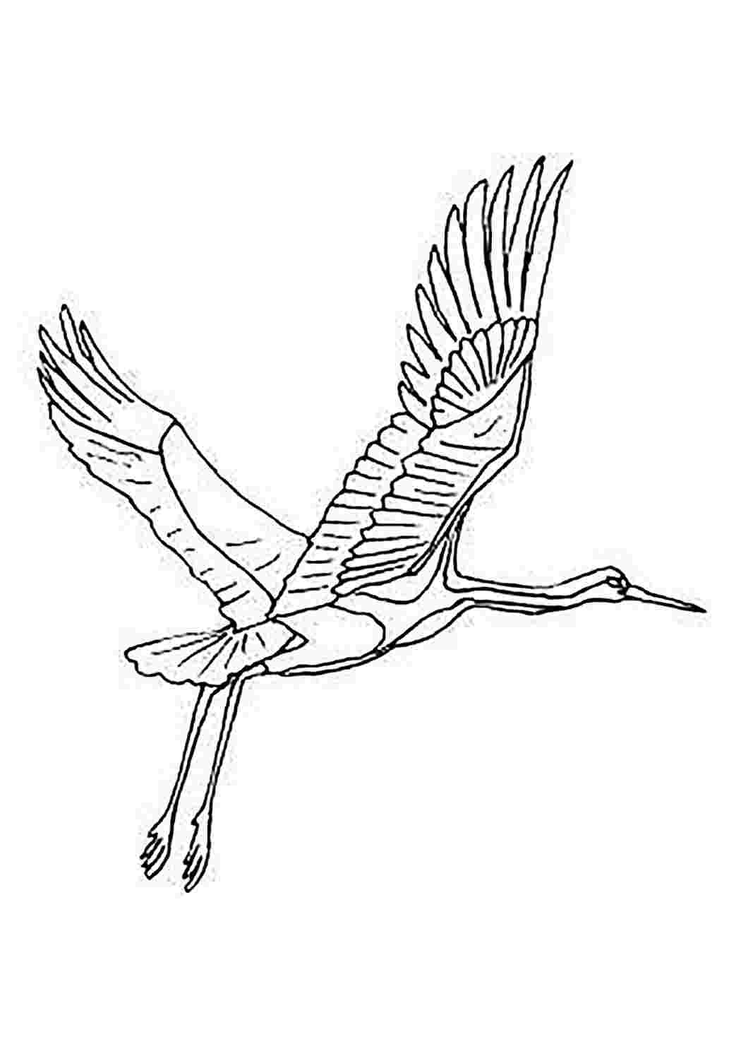 Журавль рисунок