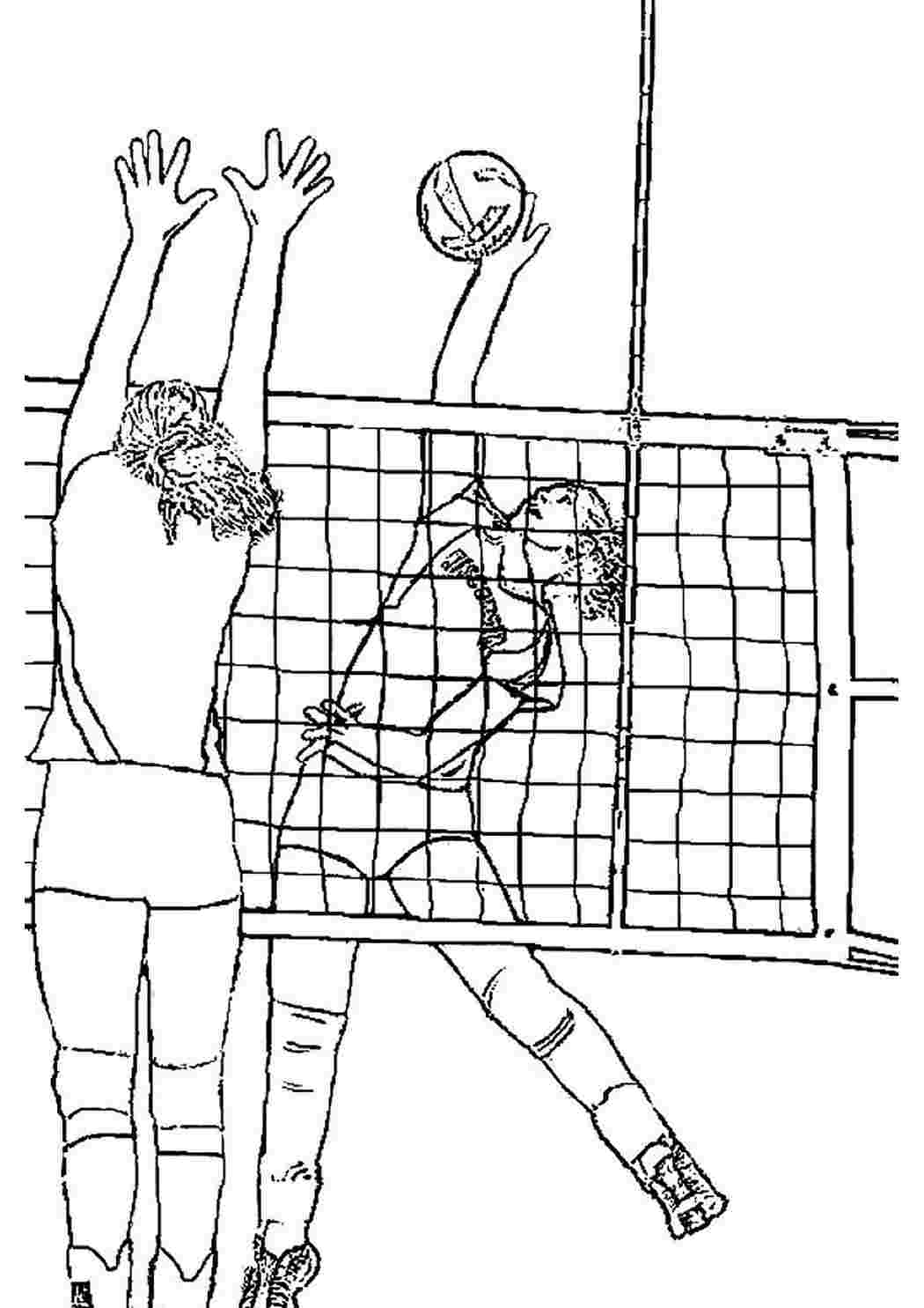 Раскраска на тему волейбол