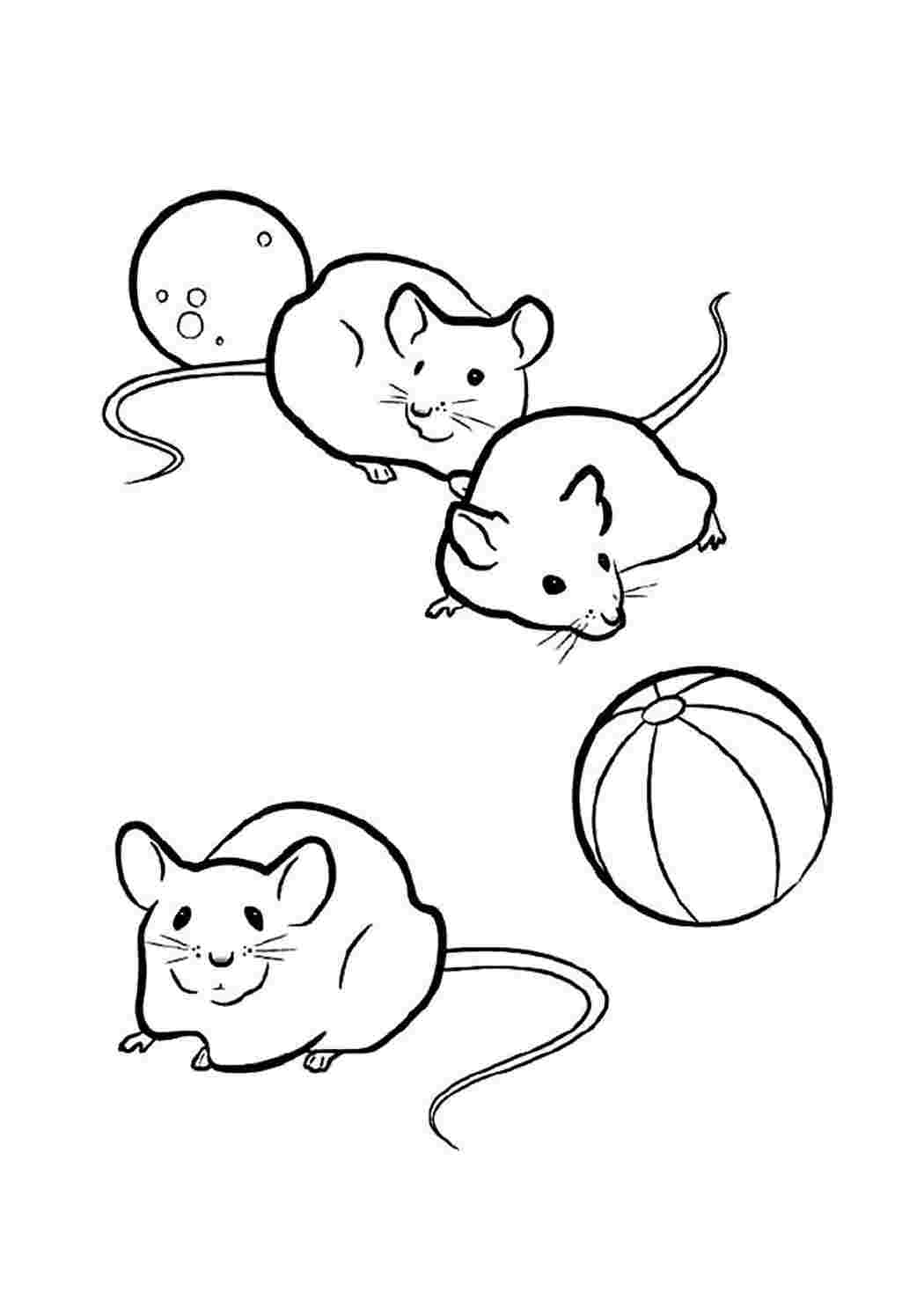 Раскраска мышь распечатать. Раскраска мышка. Мышь раскраска для детей. Раскраска мышонок. Мышка раскраска для детей.