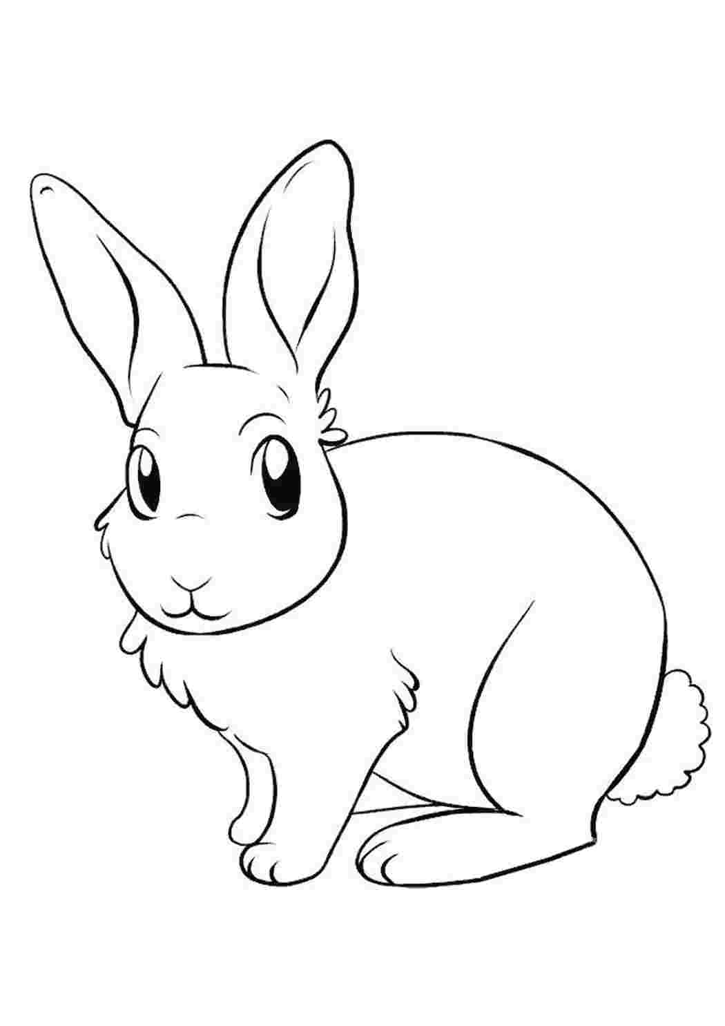 Кролик-убийца раскраска