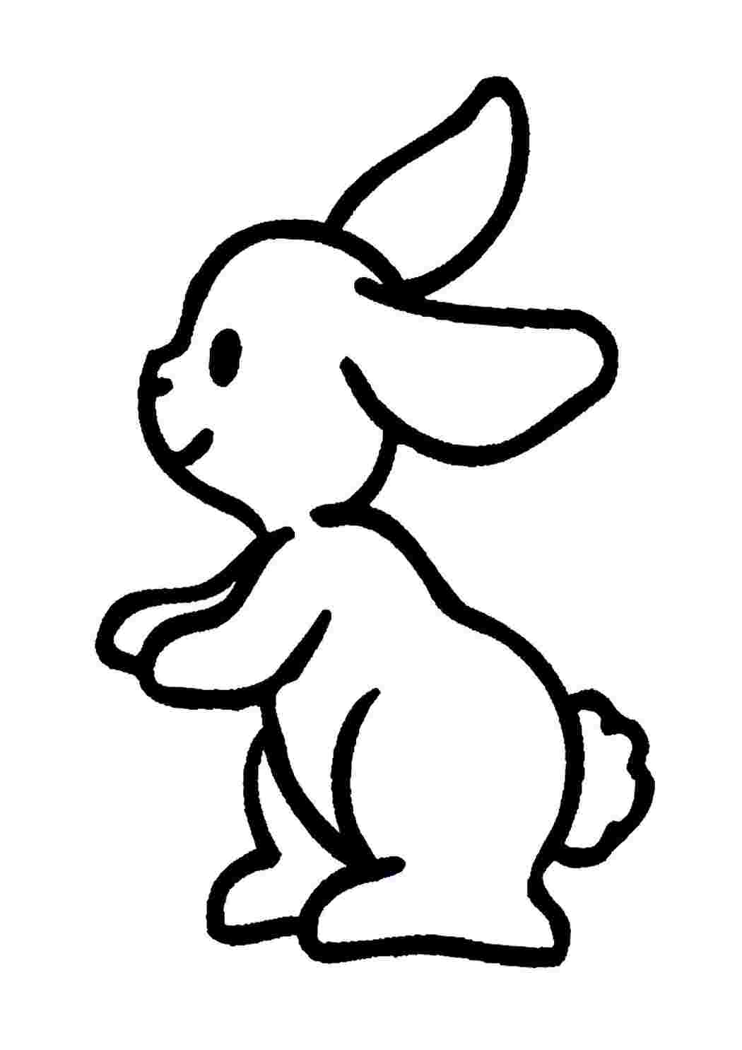 Картинки зайцев для детей