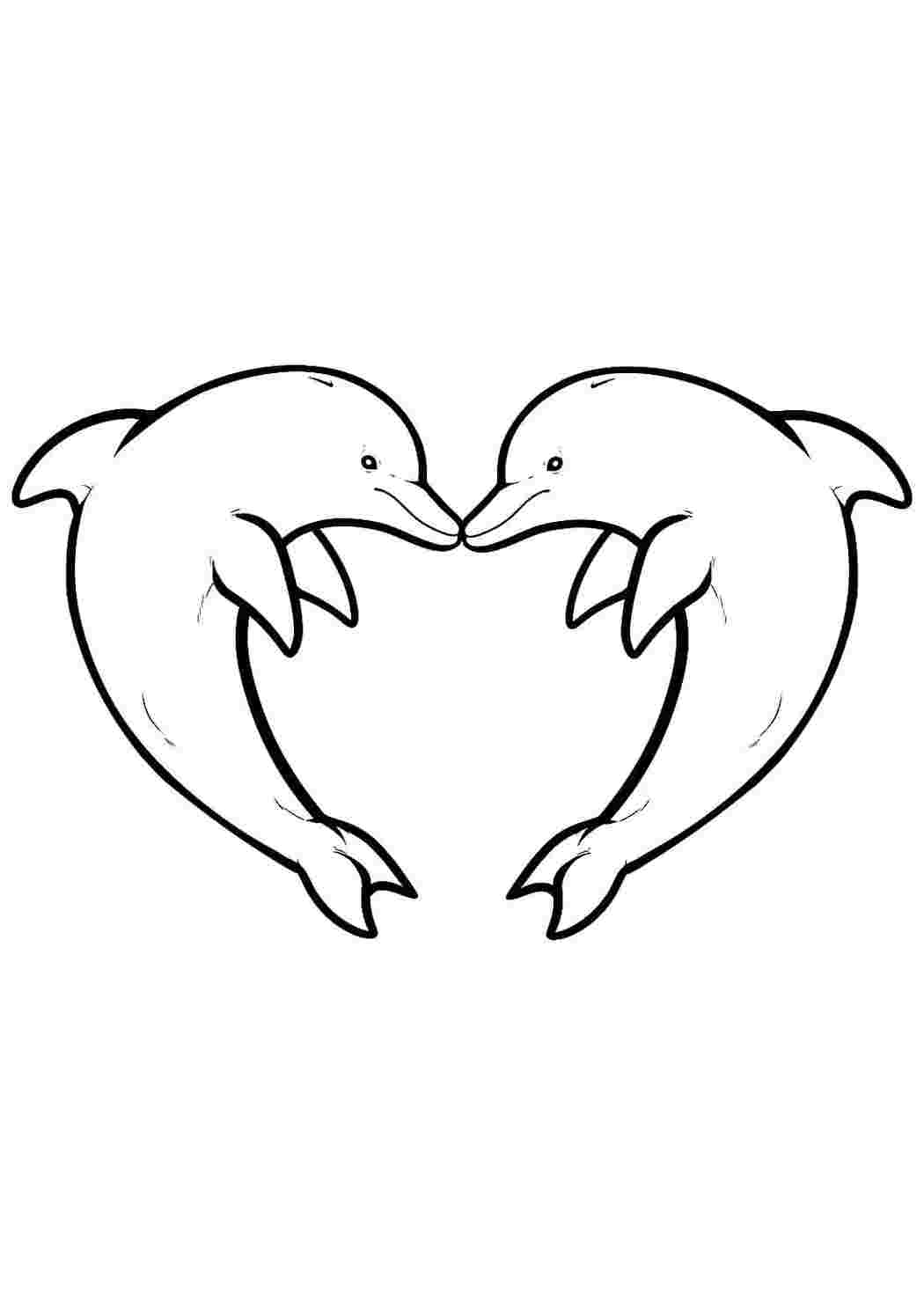 Дельфины сердце