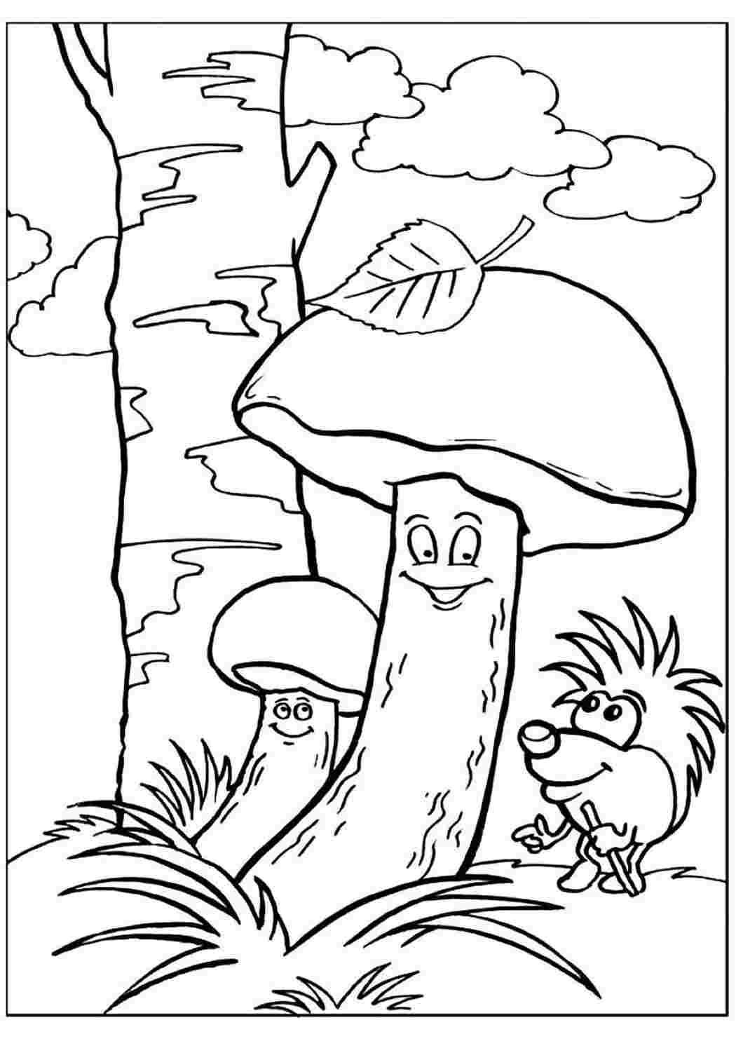 Раскраска осень грибы