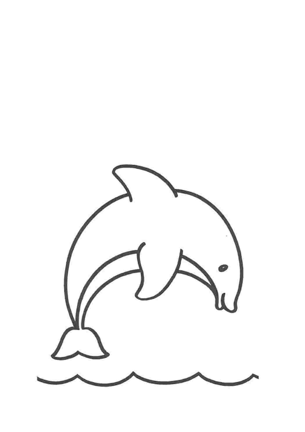 Раскраски маленькие дельфинчики