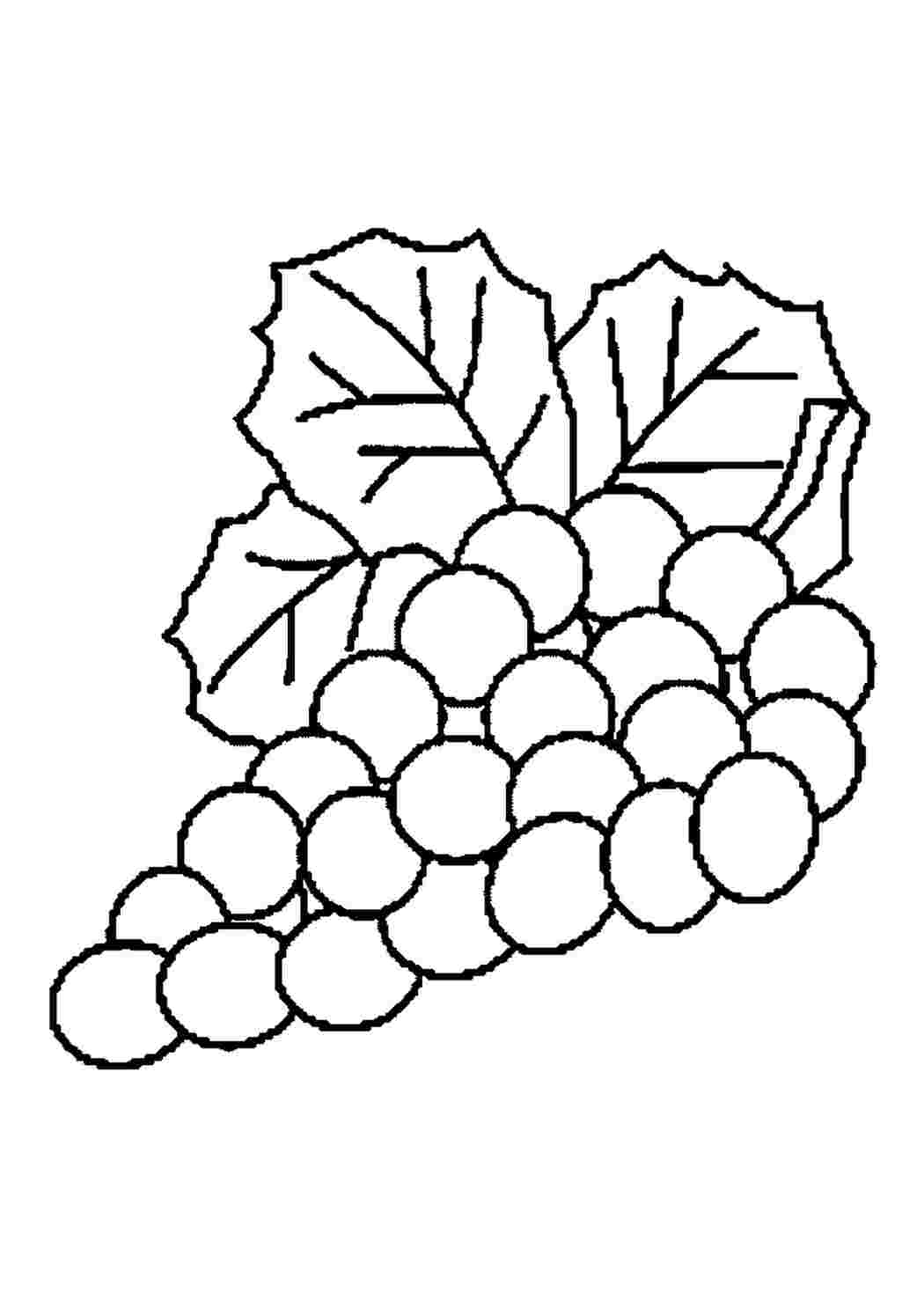 Овощи раскраска для малышей виноград