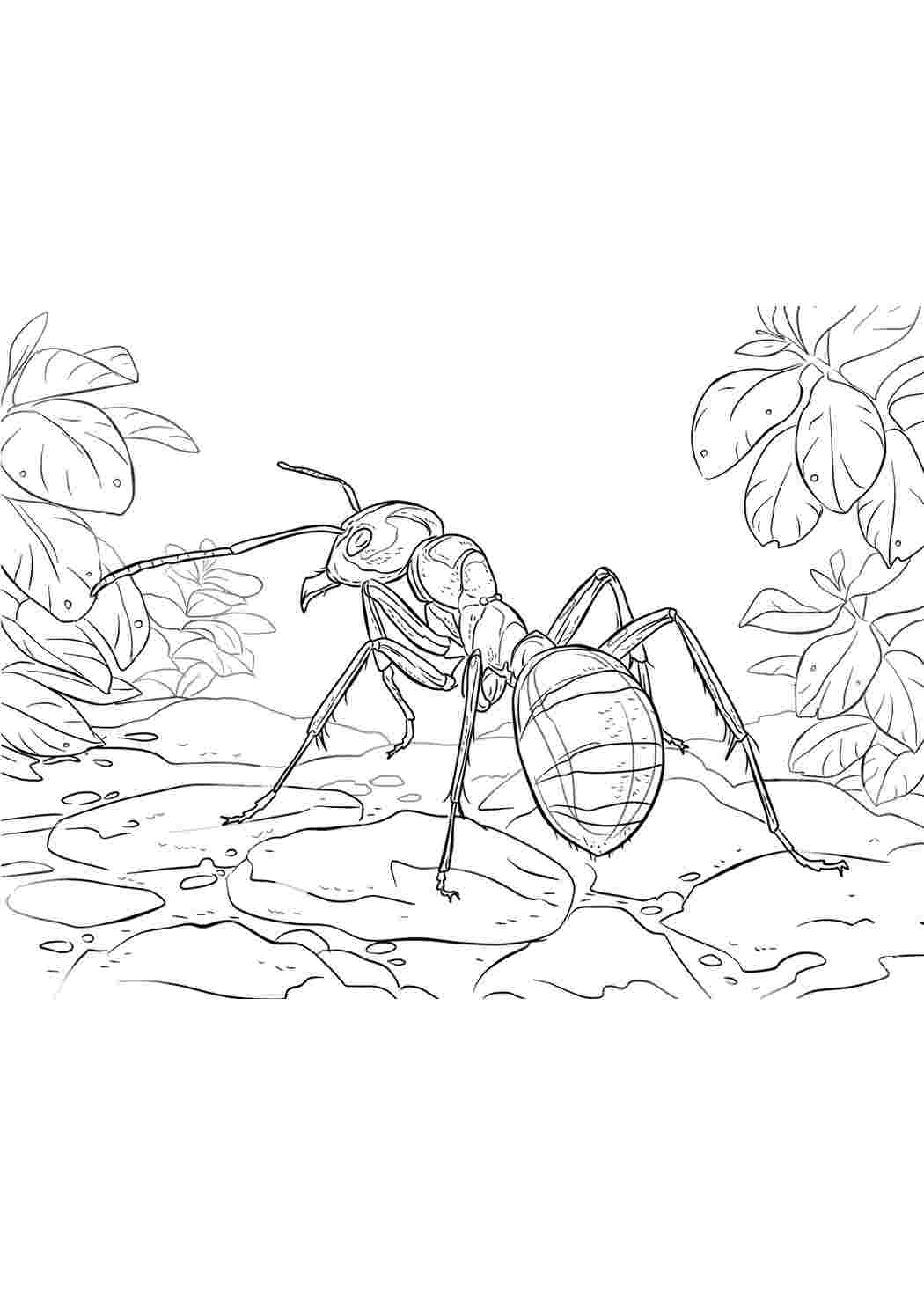 Рисунок на тему приключения муравьишки