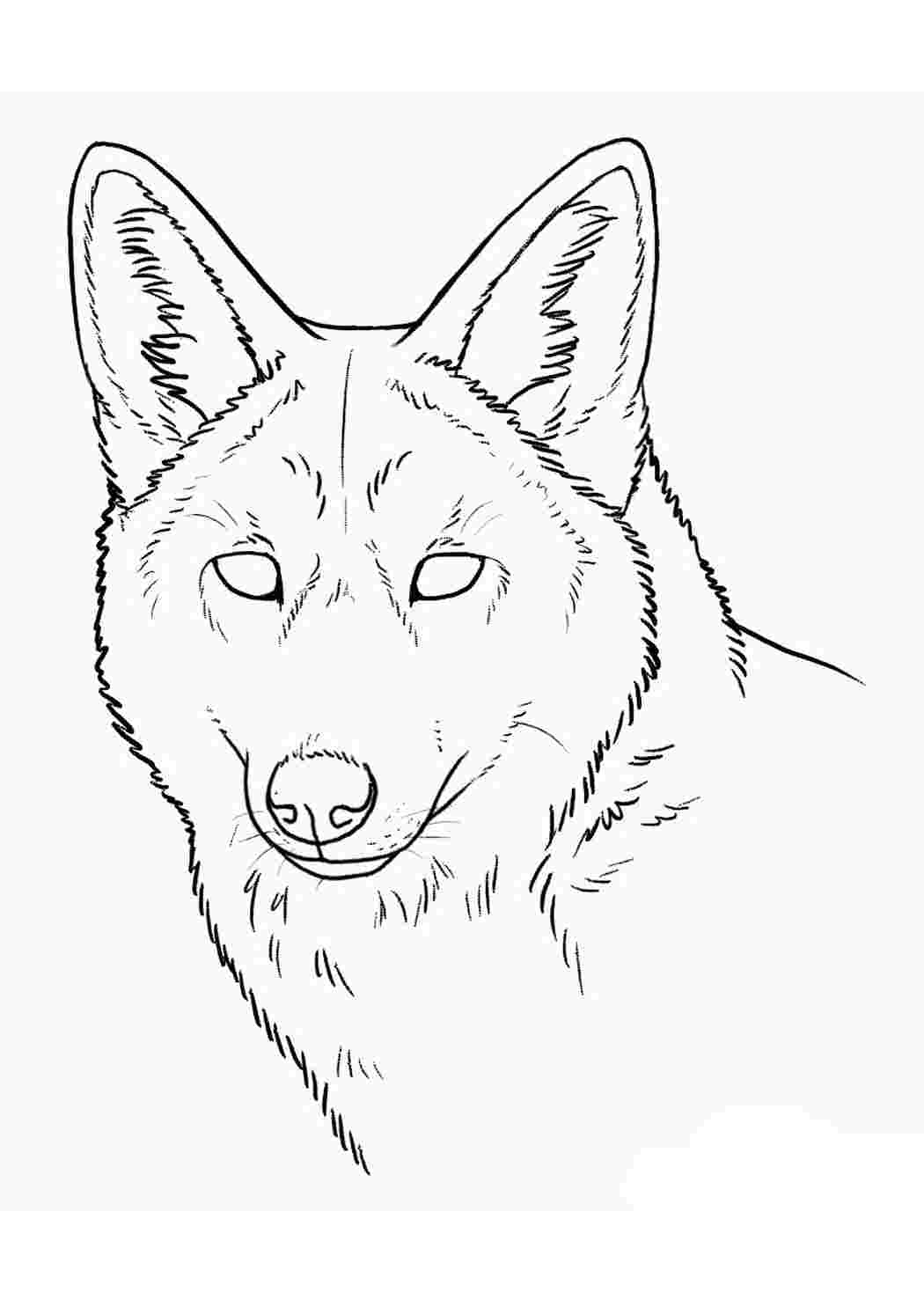 Рисовать волка