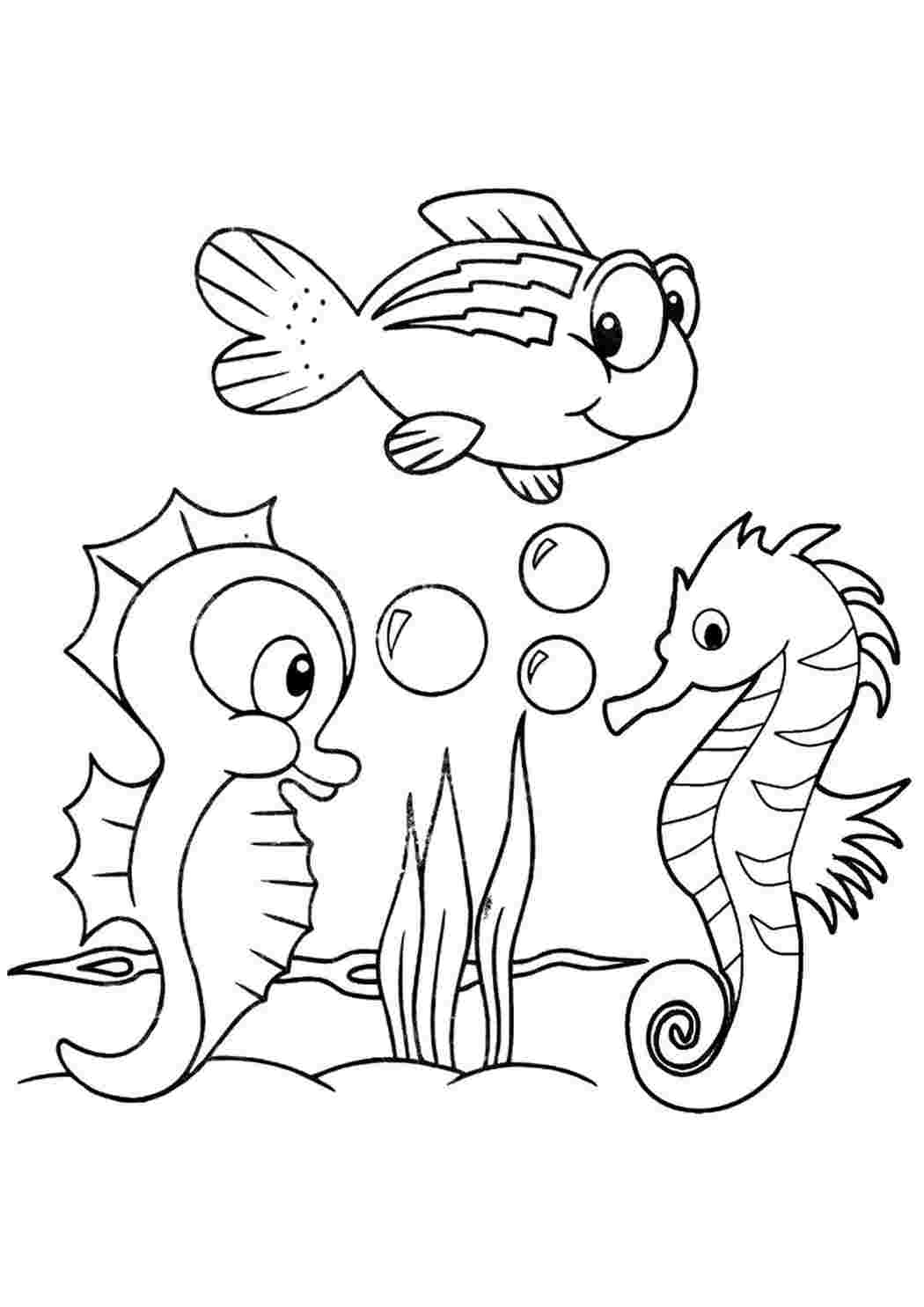 Морской конек раскраска для малышей
