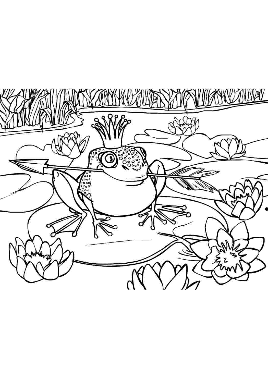 Рисунок раскраска к сказке царевна лягушка
