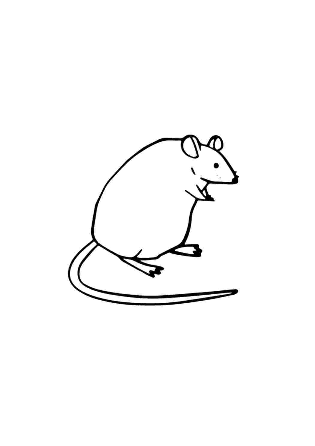 А максаков мышка спряталась. Мышь чб. Пухлая мышь раскраска. Мышь и сыр раскраска. Раскраска мышь с сыром.