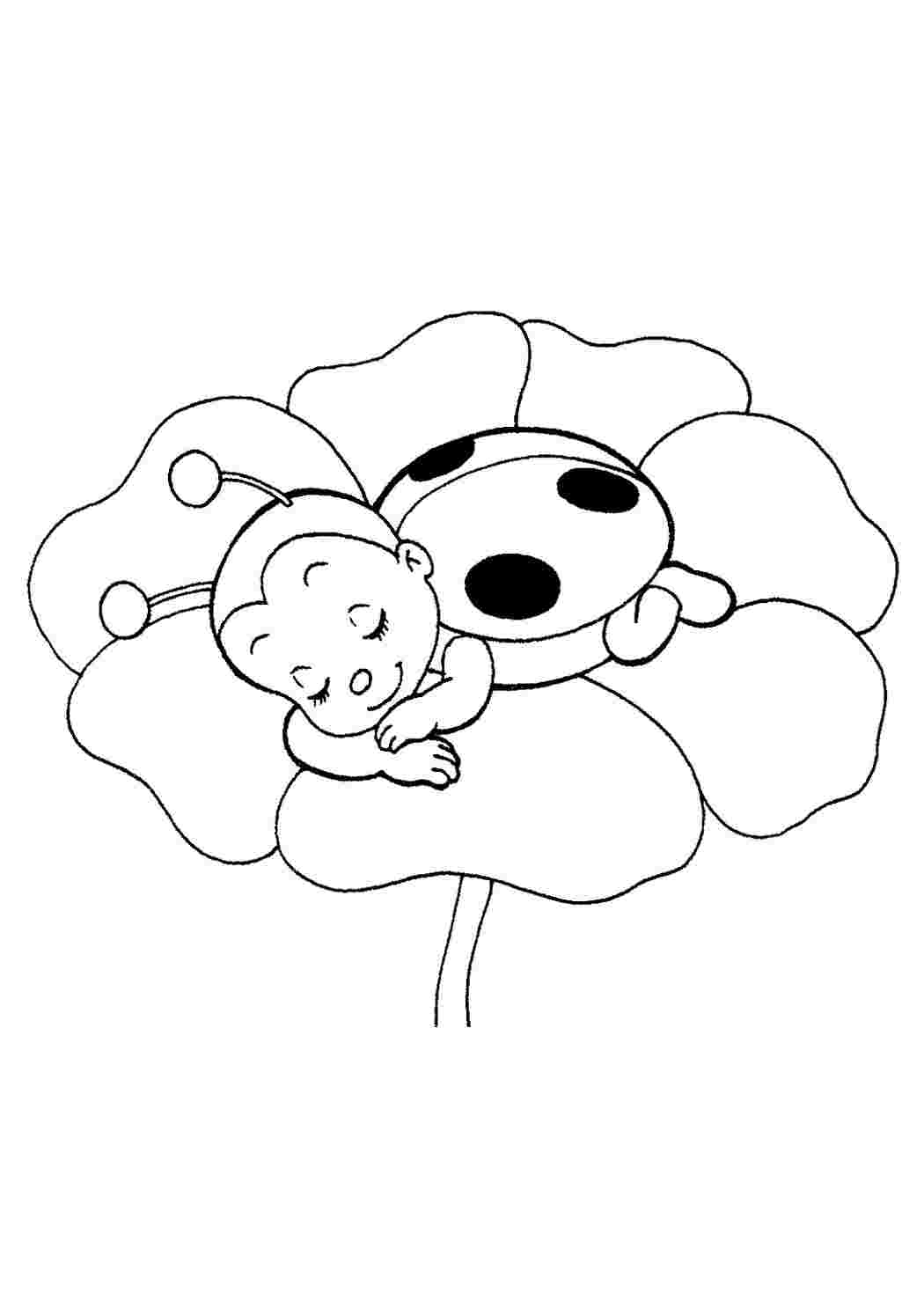 Раскраска Божья коровка на цветке для детей