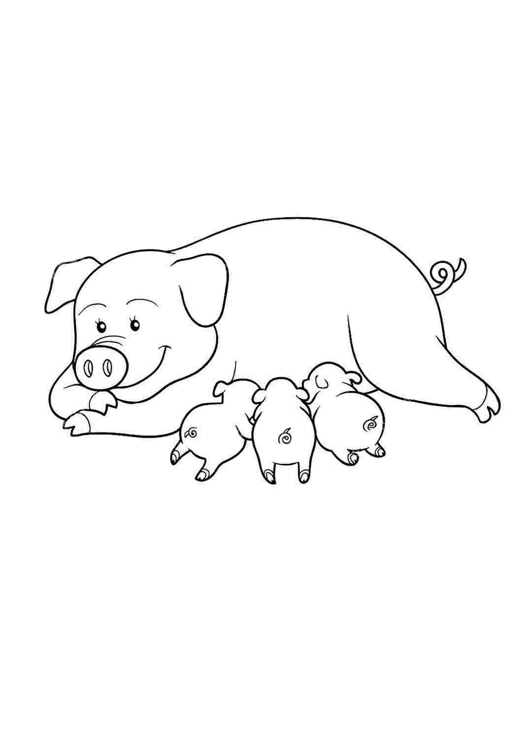 Свинья чавкает малышам