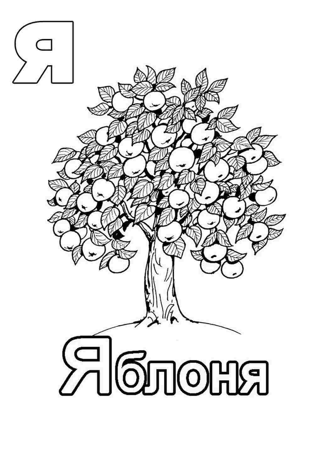 Буква Я Рисунок Для Детей