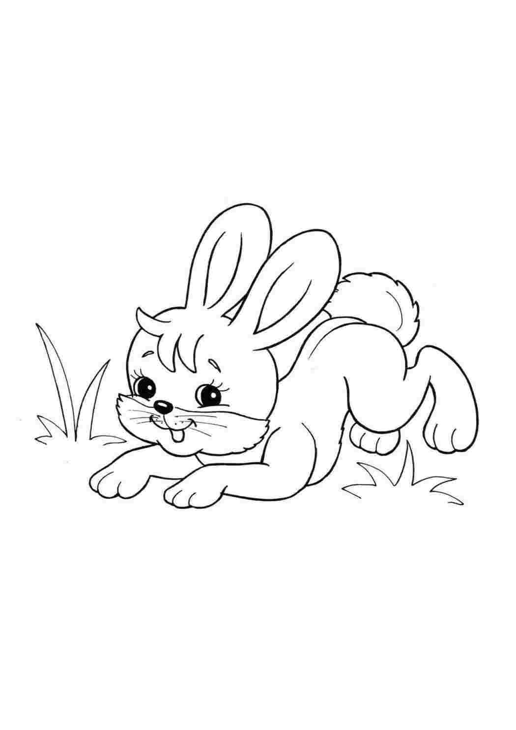 Зайчик раскраска печать. Раскраска зайчик. Раскраска зайчик. Зайка раскраска для детей. Заяц для раскрашивания детям.