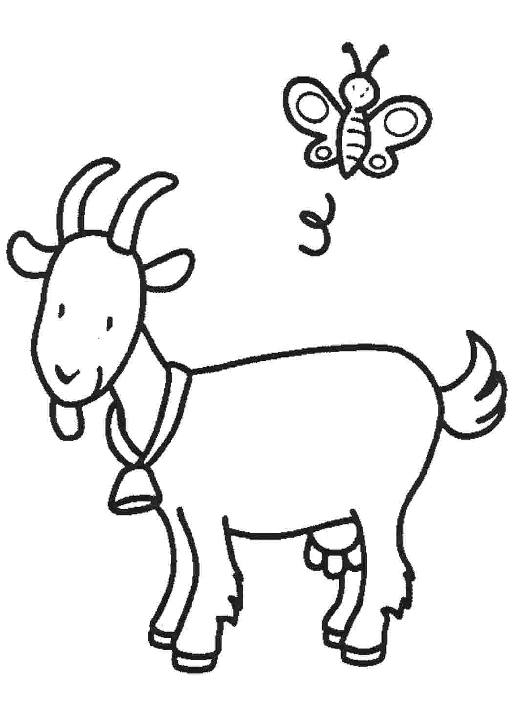 Картинка раскраска коза