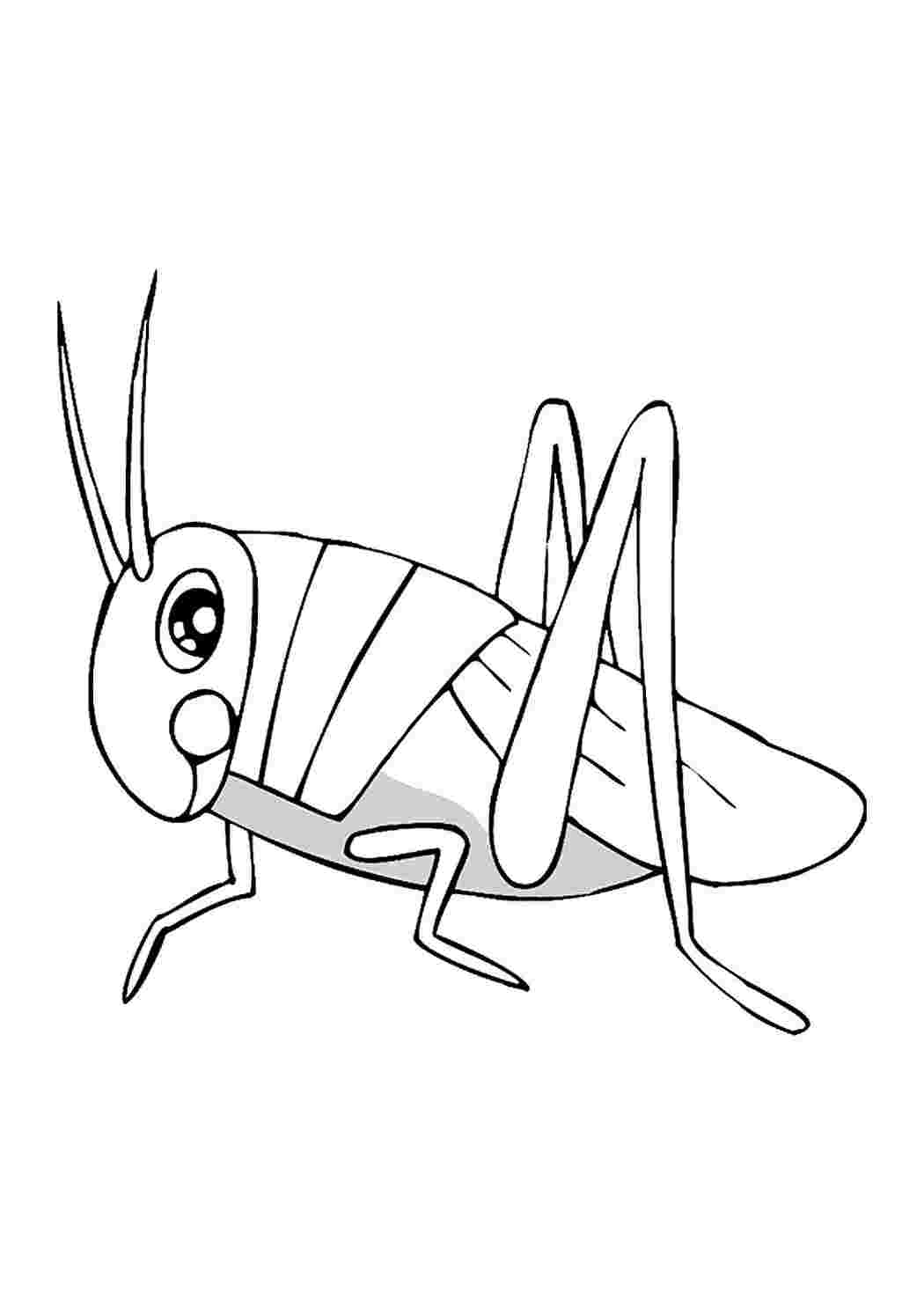 Насекомые картинки раскраски. Раскраска. Насекомые раскраска для детей. Насекомые. Насекомые.
