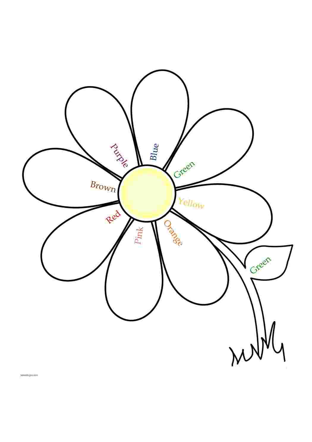 Рисунок цветик семицветик раскраска для детей