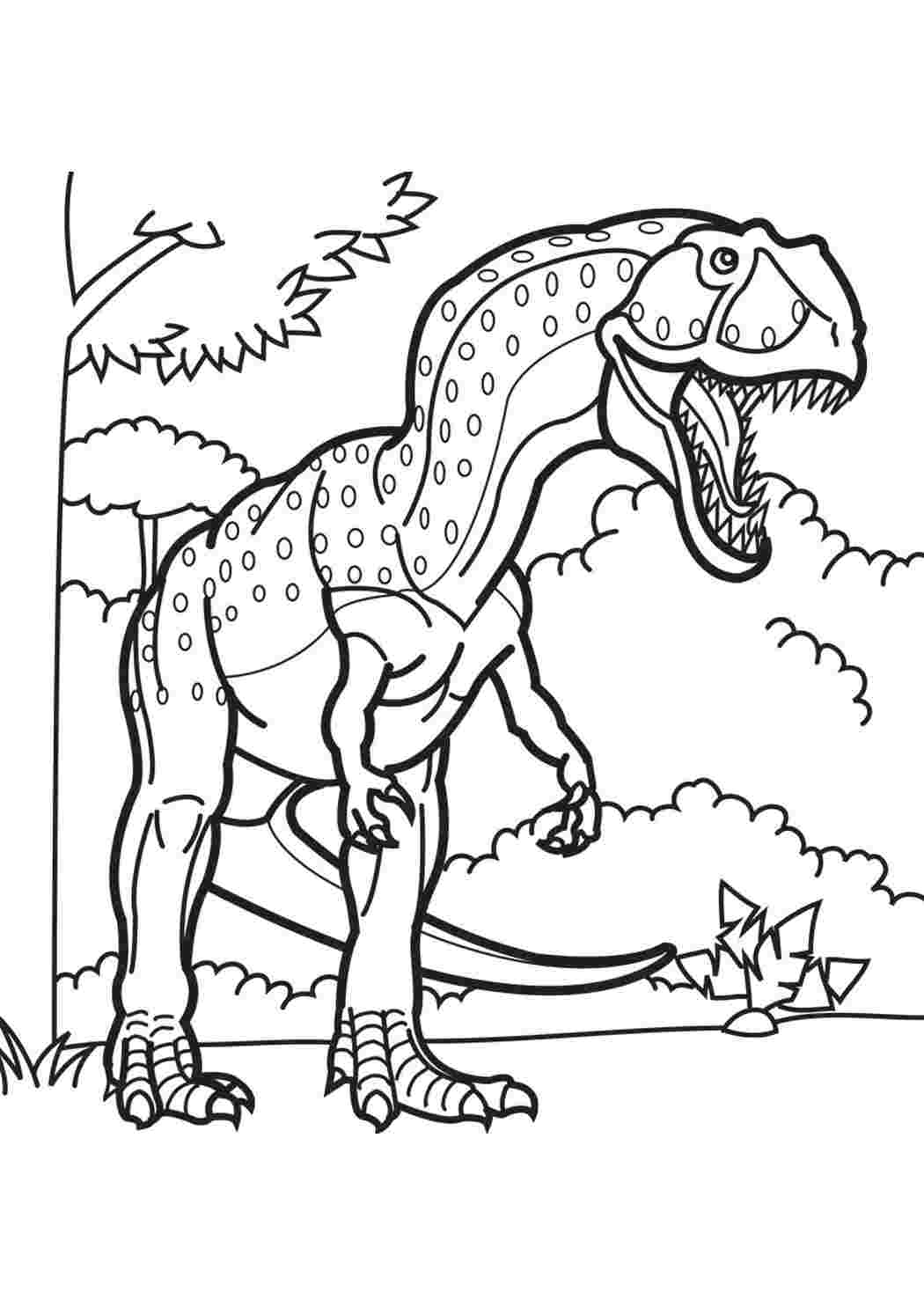 Раскраски динозавры формат а4. Гигантозавр раскраска. Динозавры / раскраска. Раскраска "Динозаврики". Динозавр раскраска для детей.