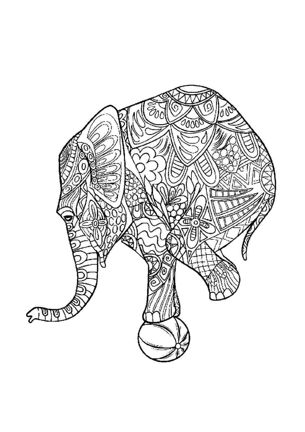 Слон и моська раскраска