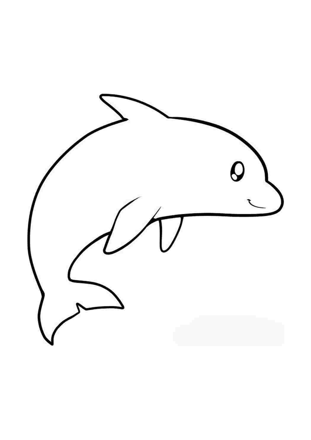 Дельфин рисунок