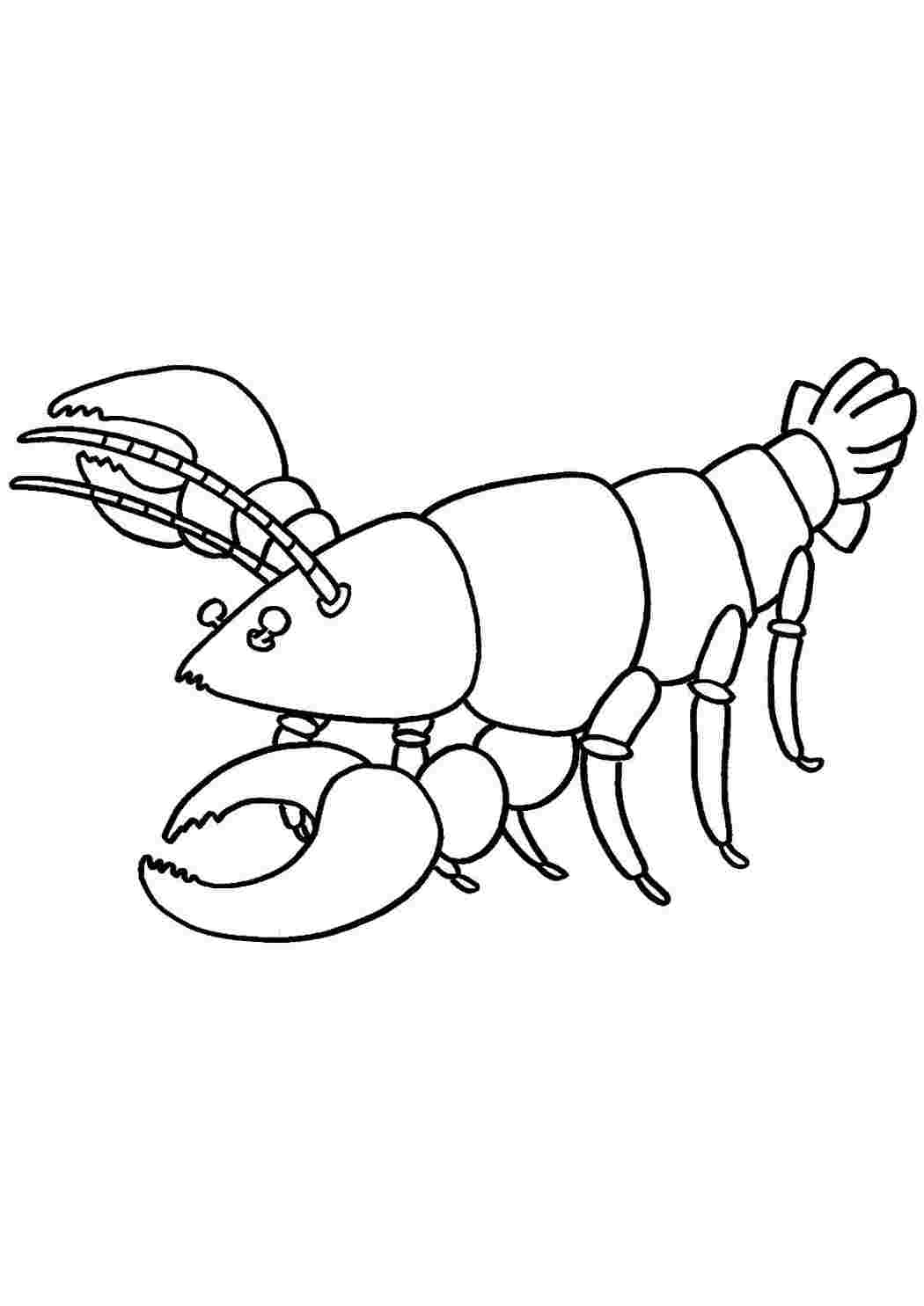 Картинка рак рисунок