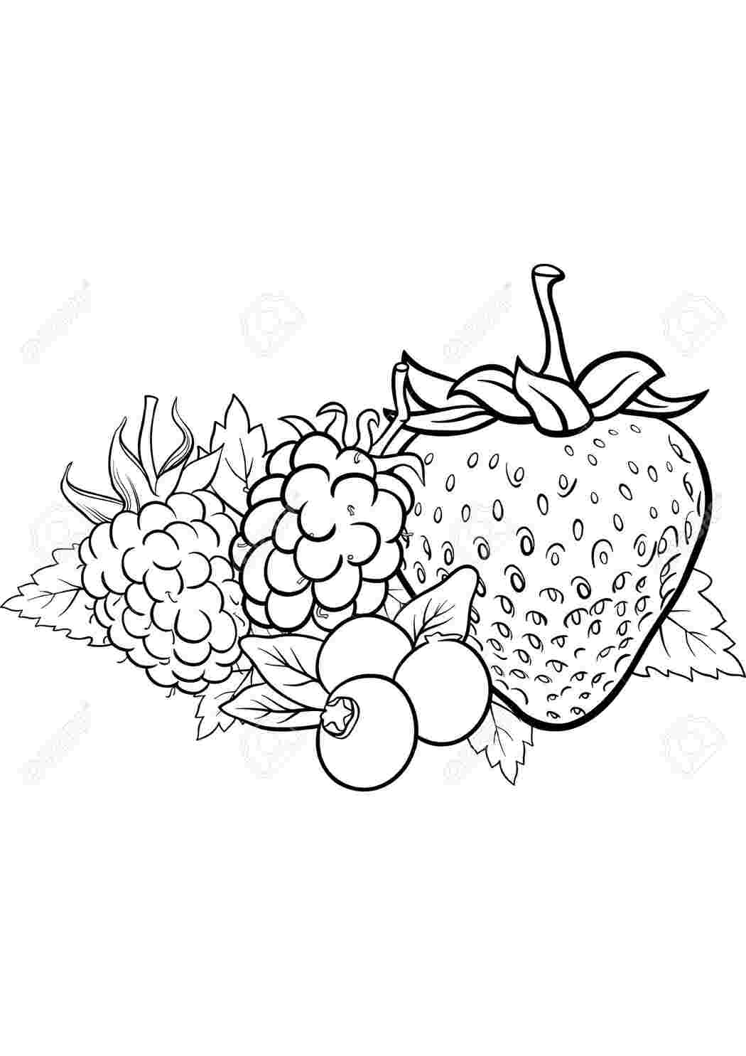 ягоды. ягоды. ягоды раскраска для детей. раскраска ягоды. раскраска ягоды.