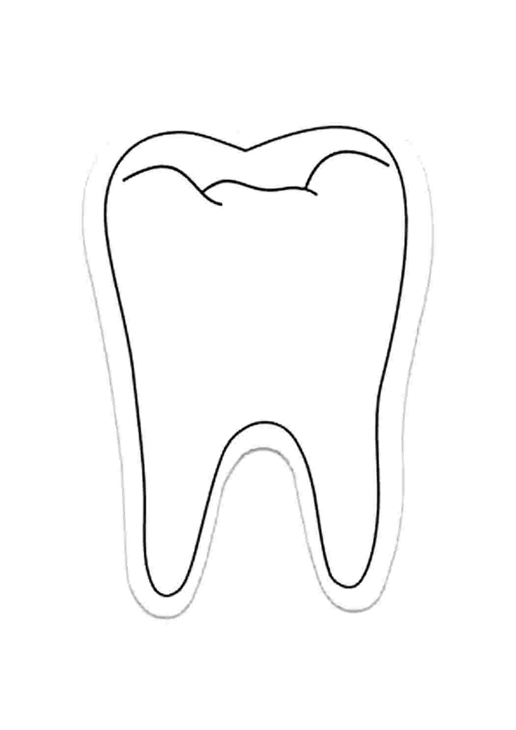 Зуб картинка. Раскраска зуб. Зуб трафарет. Нарисовать зуб. Зуб раскраска для детей.