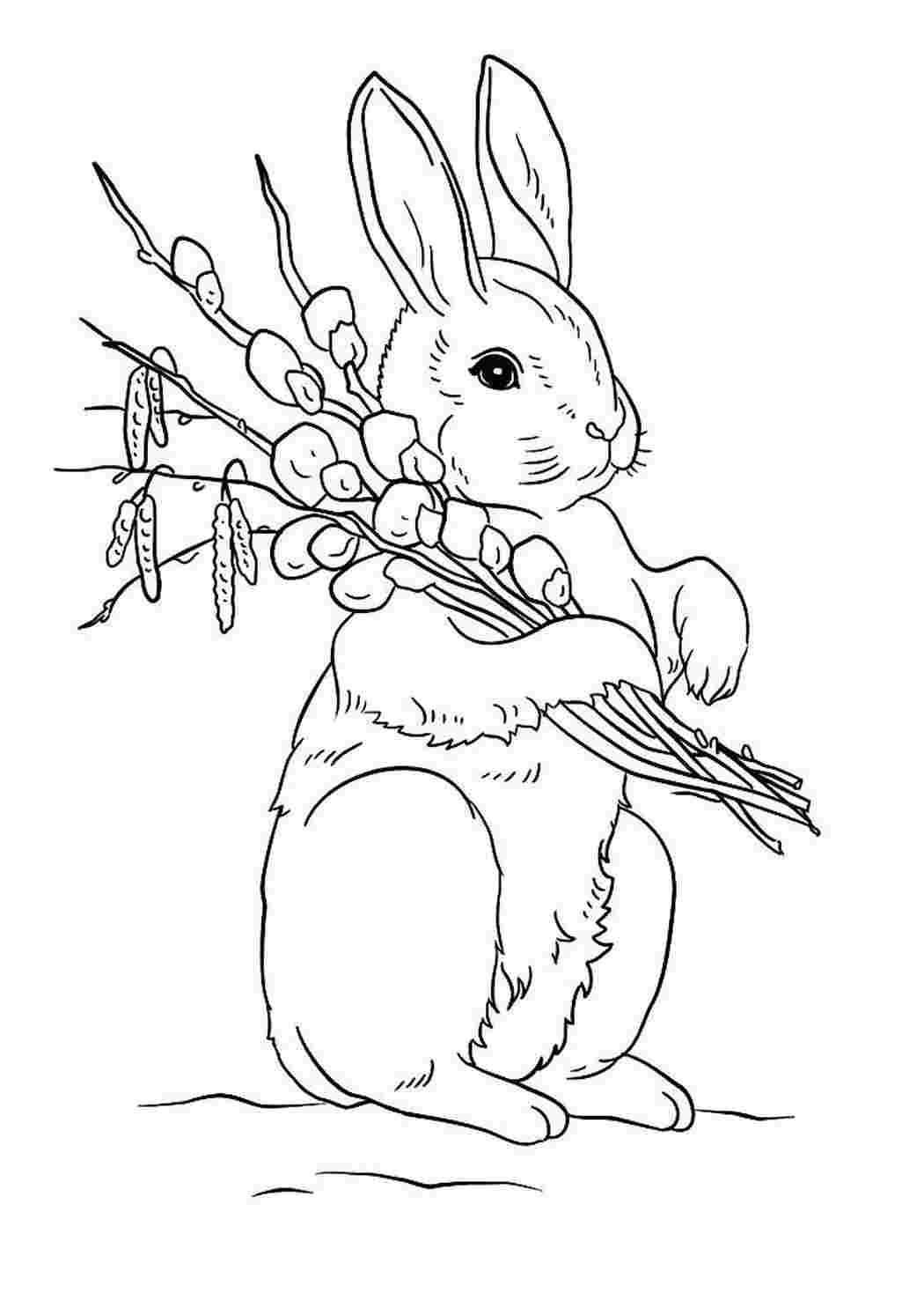 Пасхальный кролик раскраска для детей
