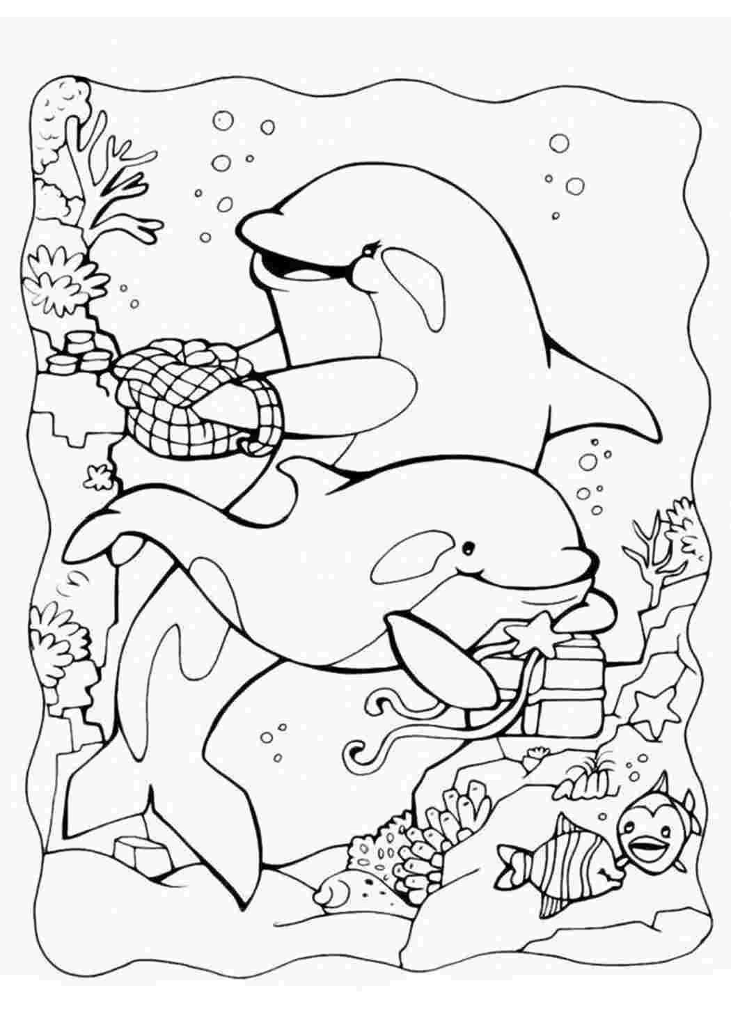 Раскраски водой распечатать. Раскраска морские обитате. Раскраска Дельфин. Раскраска "подводный мир". Подводный мир раскраска для детей.