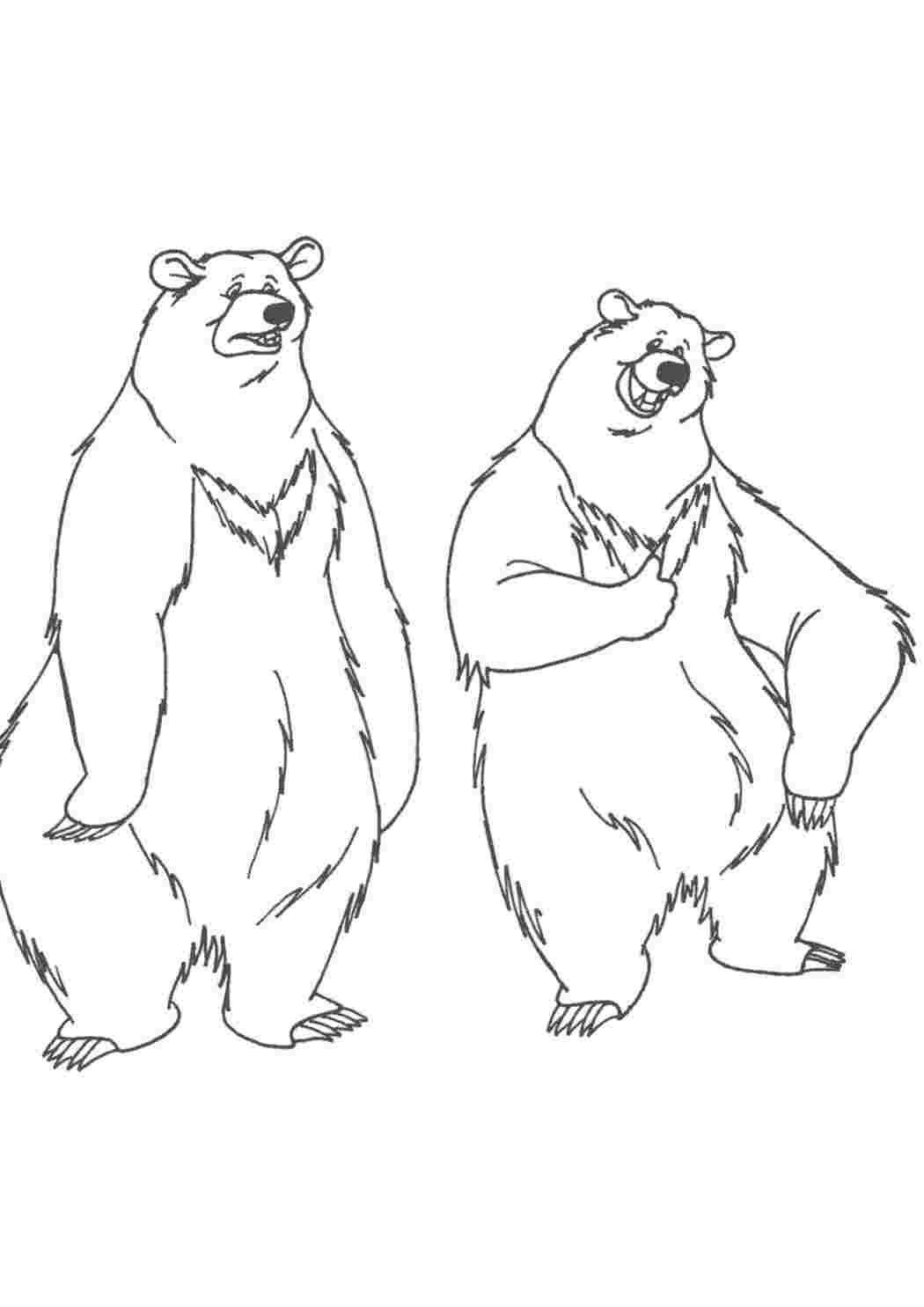 Раскраска два медведя