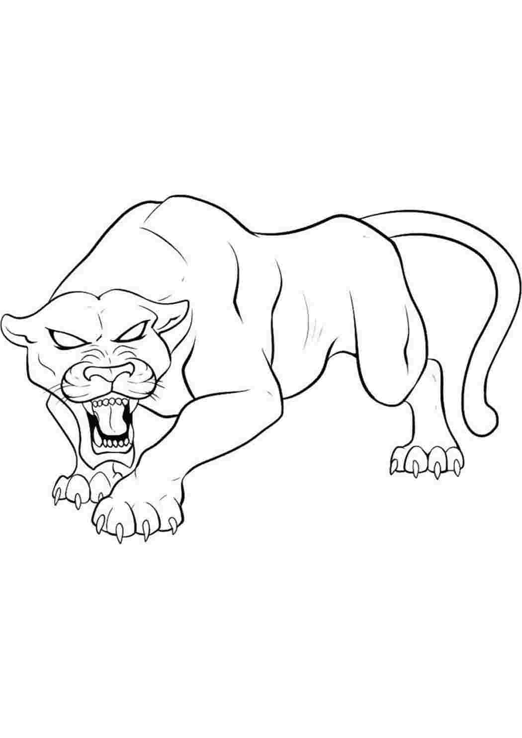 Рисунок Саблезубого тигра