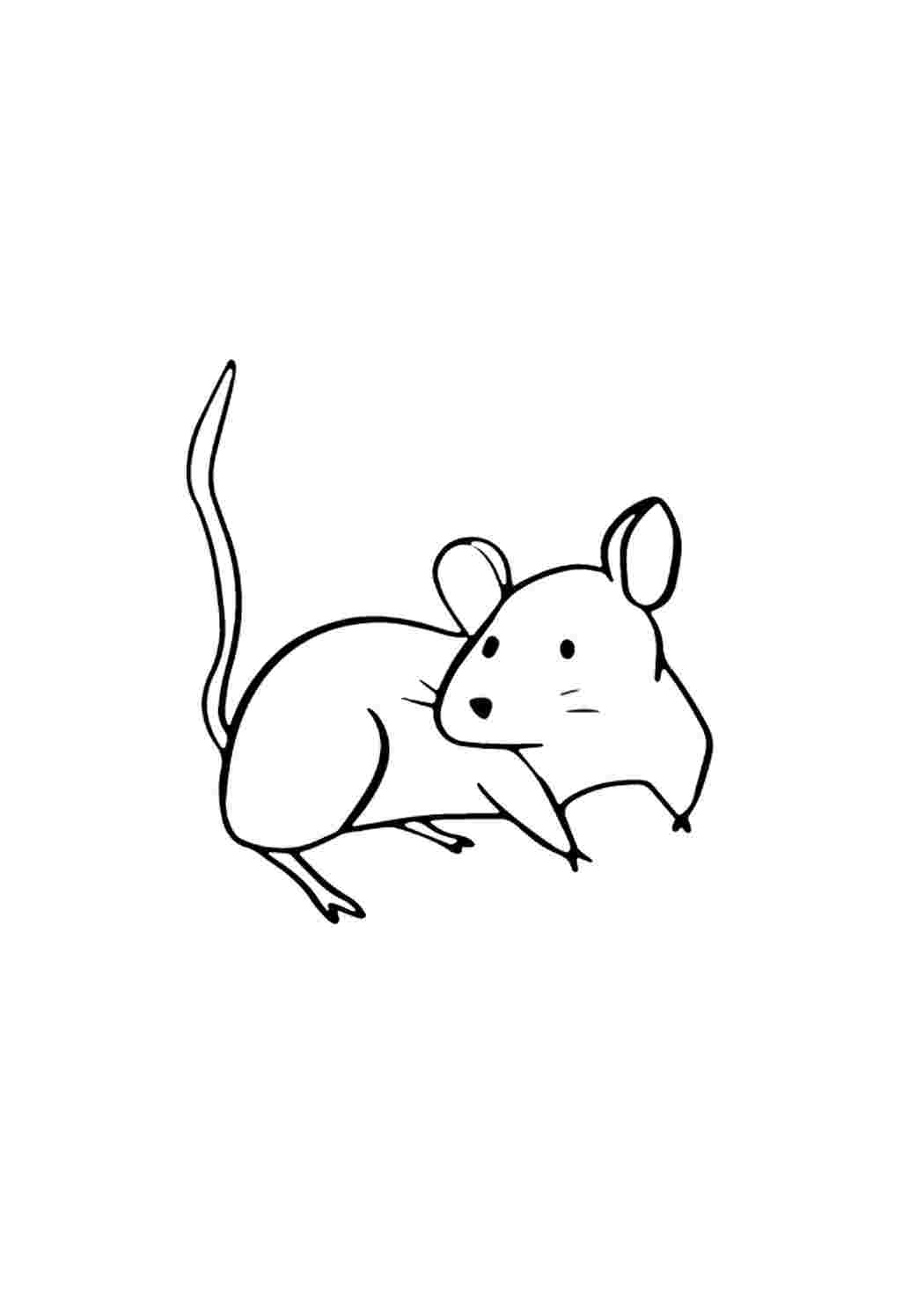 Рисунок оглядывающийся мышонок