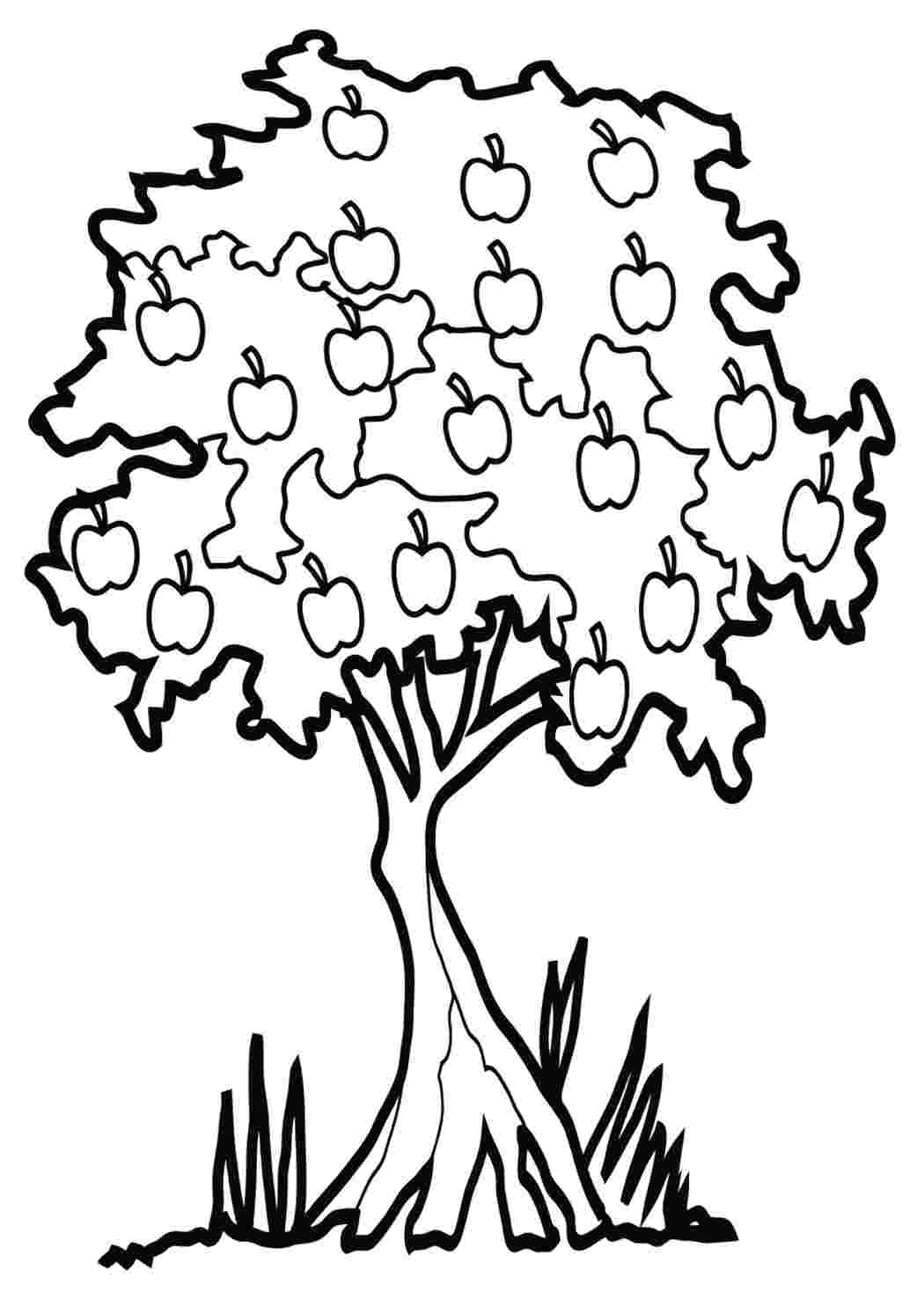 Дерево с яблоками черно белое