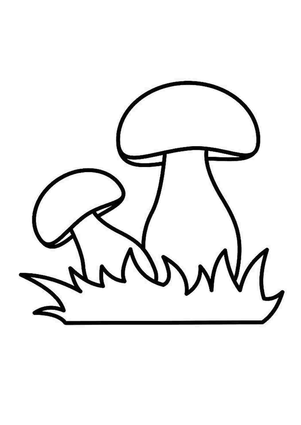 Раскраска гриб поганка