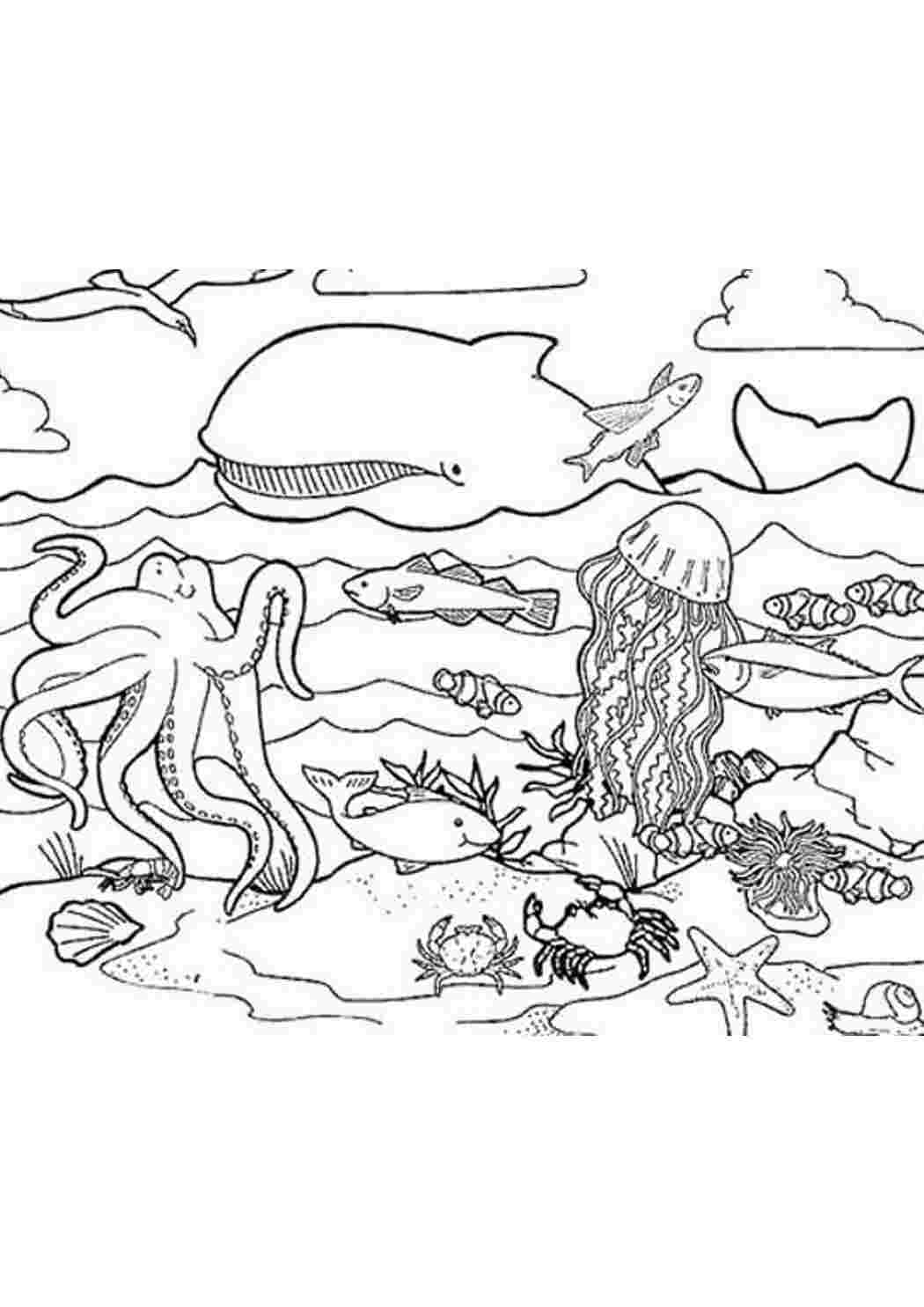 Морское дно картинки для детей раскраски