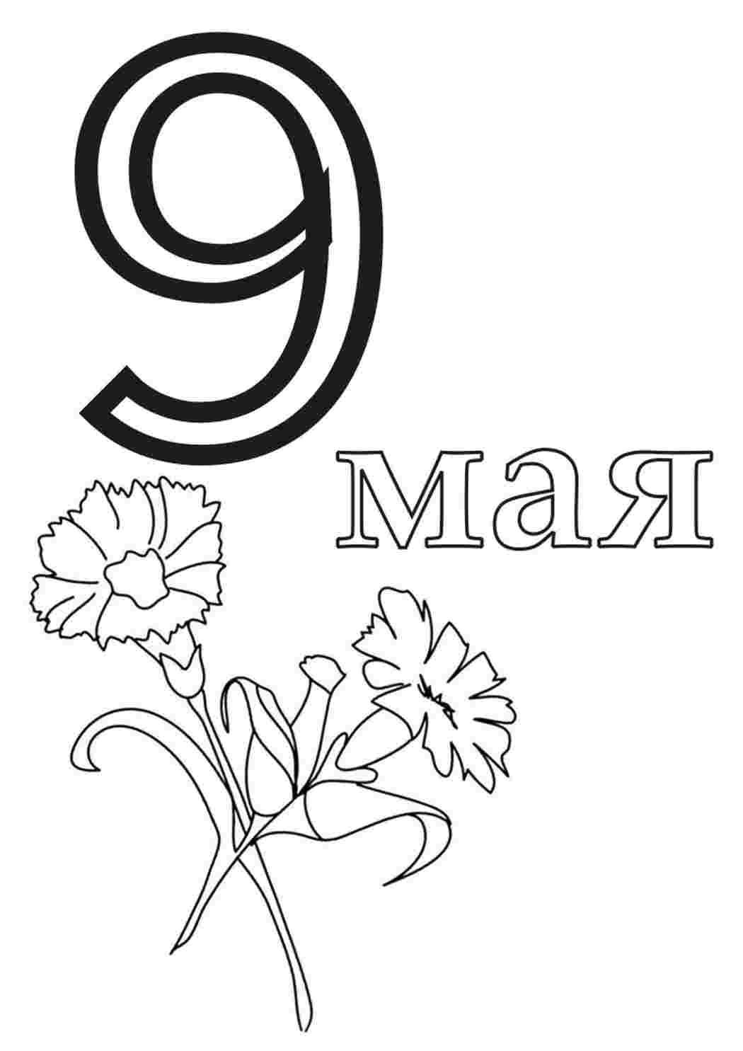Раскраска цветы мая. Цветы к 9 мая. Раскраски в формате А4.