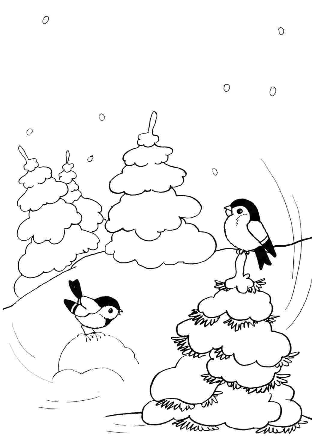 Раскраска Снегирь для детей
