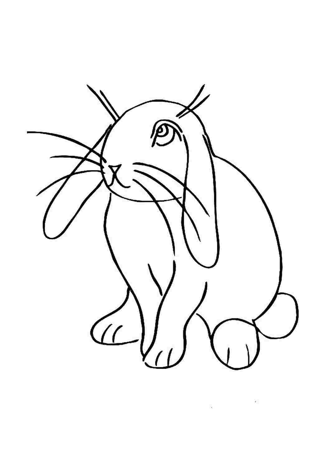Кролик рисунок раскраска