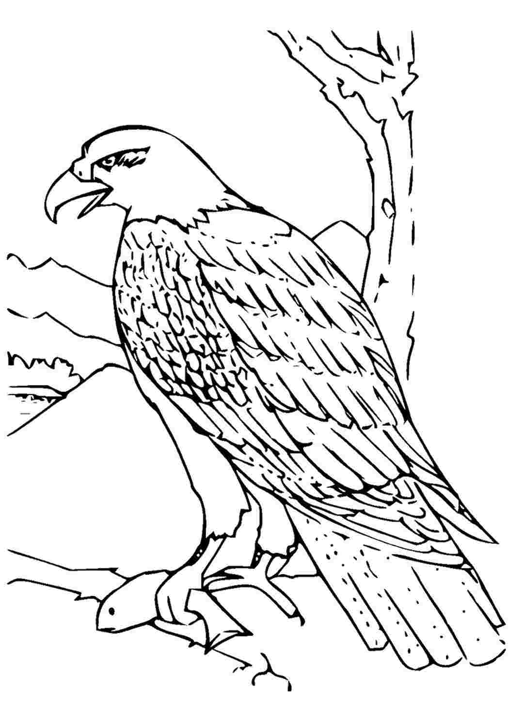  68 