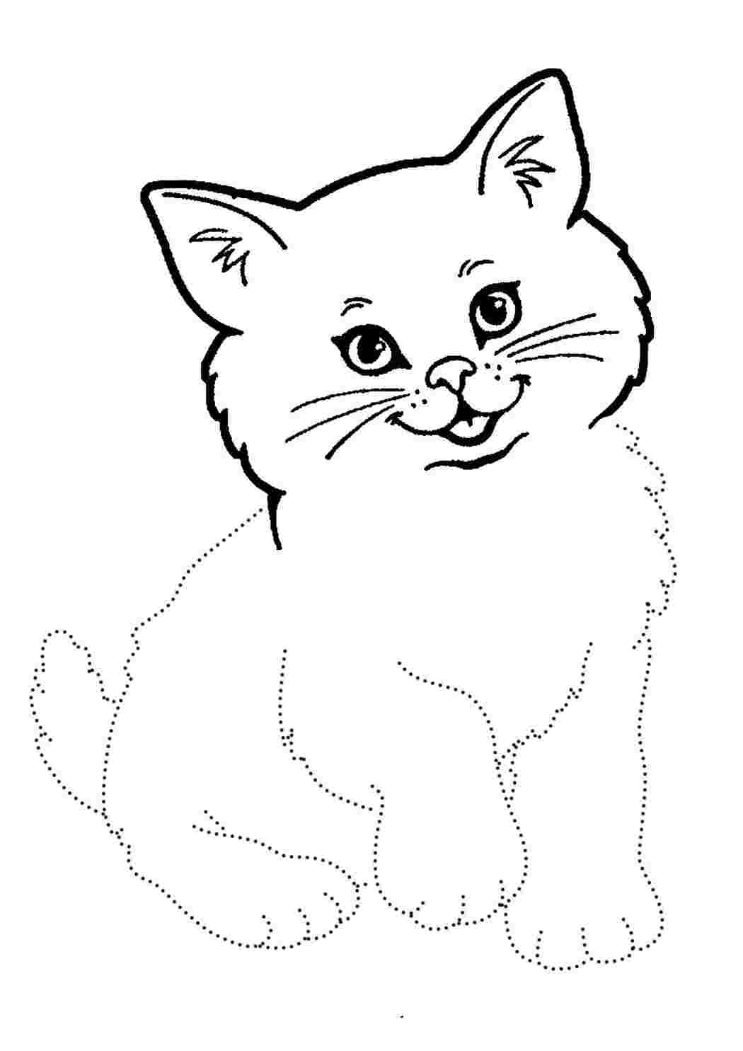 Картинки котиков шаблоны
