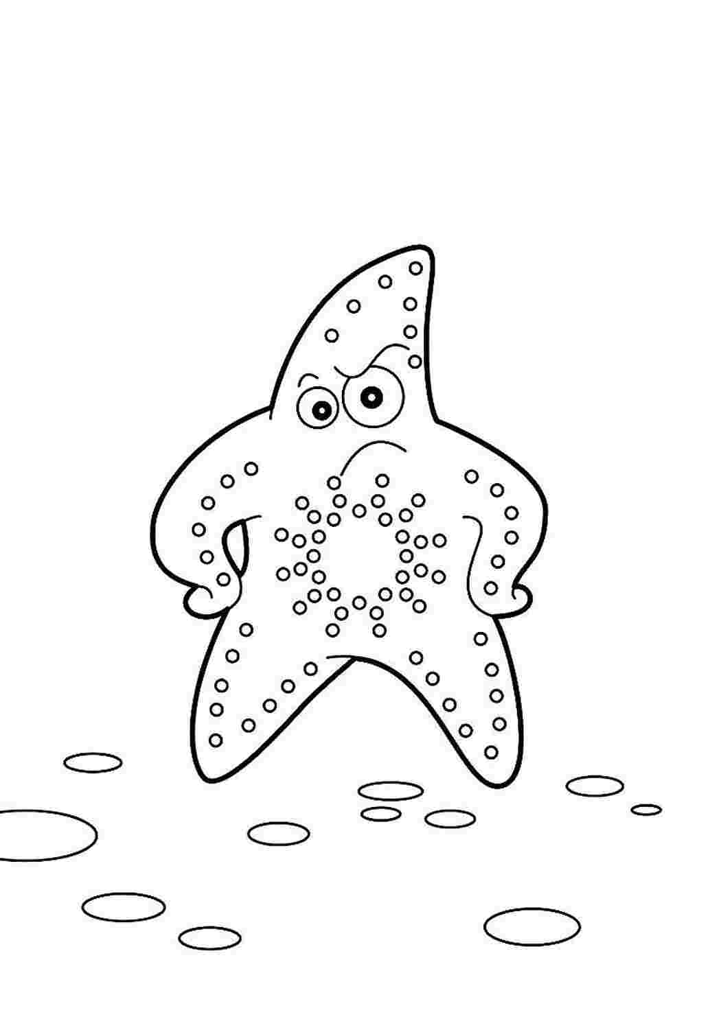 Морская звезда раскраска для детей