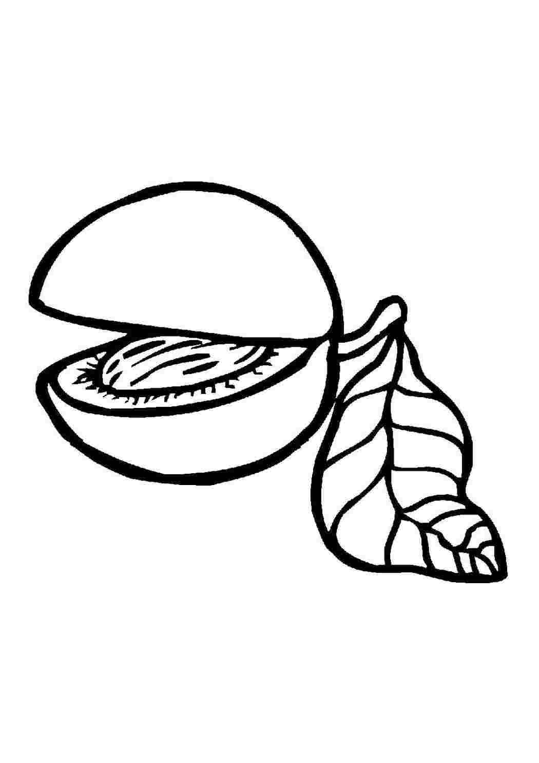  Palomies 