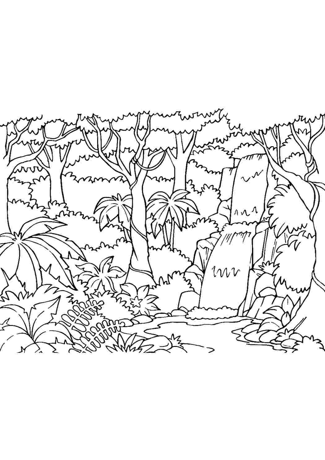 Тропический лес рисунок для детей